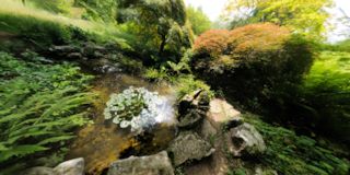 Rockery